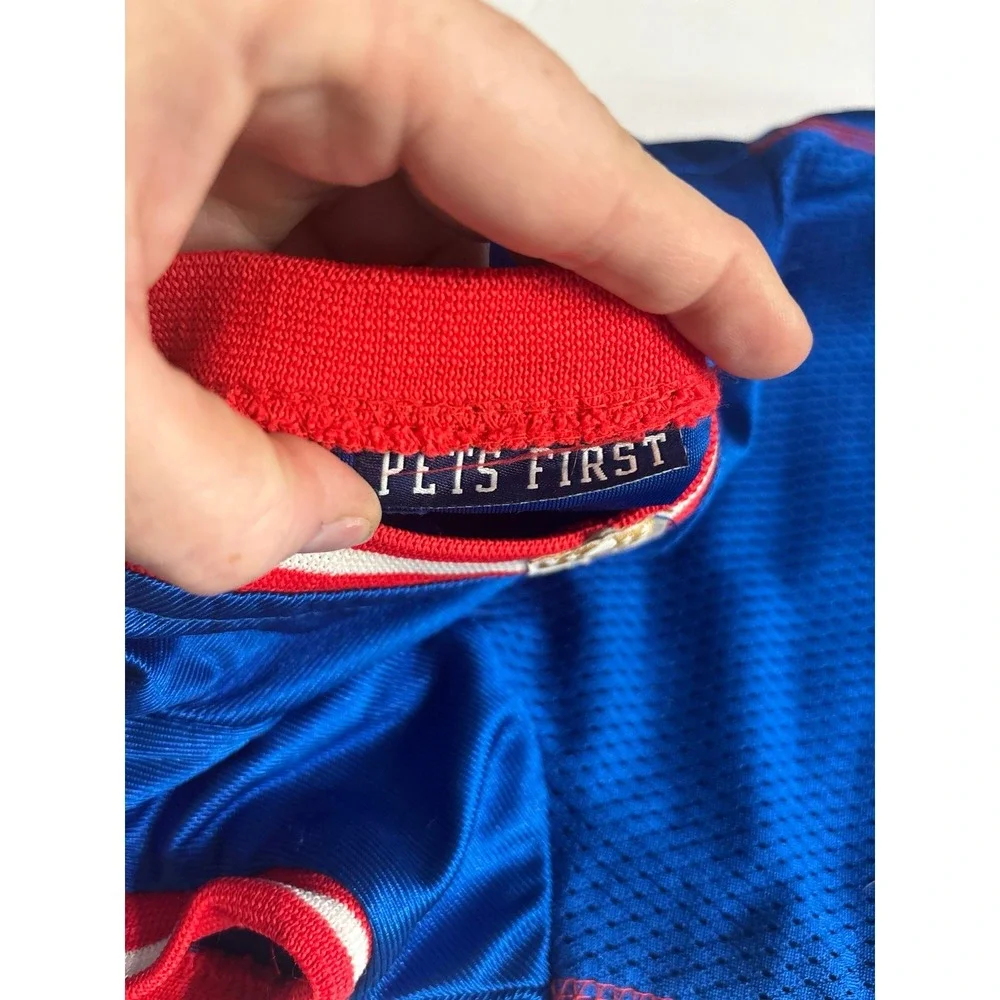 NFL this buffalo